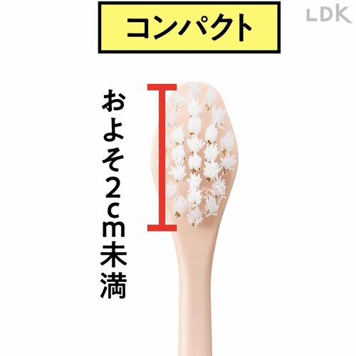 丁寧に磨きたい人はコンパクト 歯ブラシおすすめ イメージ