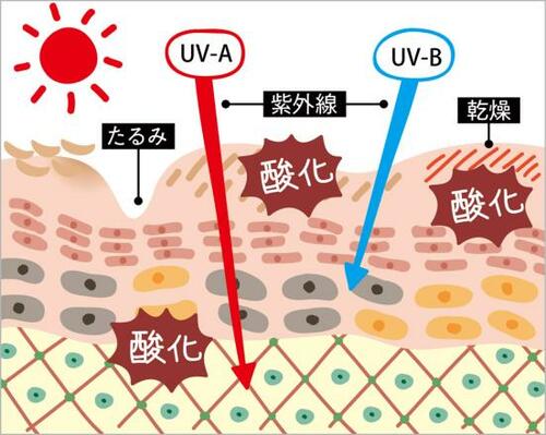 SPFとPAってなに?数値が高ければいいワケじゃない!