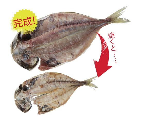 OKAMOTO ピチットレギュラーで作った干物