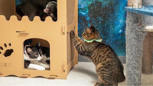 満室になるほど大人気でした! 猫用爪とぎおすすめ イメージ2