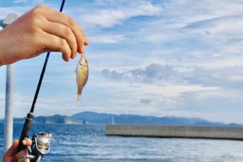 強度も感度も良好な釣り糸・ライン 釣り人に人気のPEライン