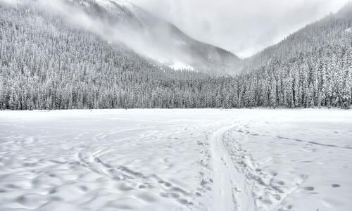 雪景色