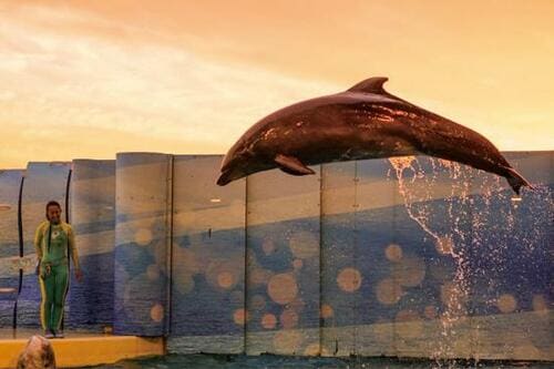 アドビ「Lightroom」使用4