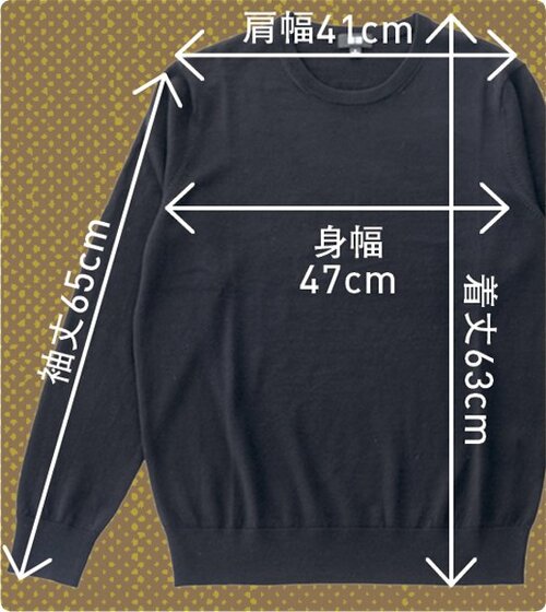 洗濯機OKで毎日着られる耐久性プロも大絶賛のユニクロが別格 イメージ