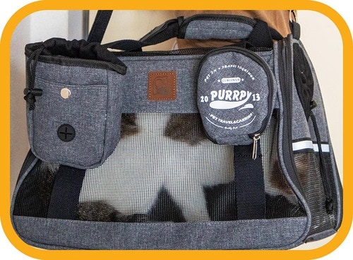ネコ用品を入れられるポーチ付き 猫用キャリーバッグおすすめ イメージ