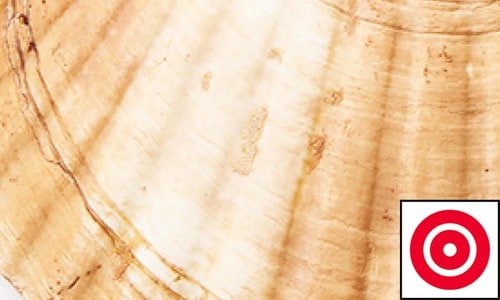 継続ホワイトニング力 ホワイトニングジェルおすすめ イメージ