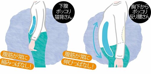 →姿勢が悪いとお腹の筋肉が動かないから ズボラストレッチおすすめ イメージ