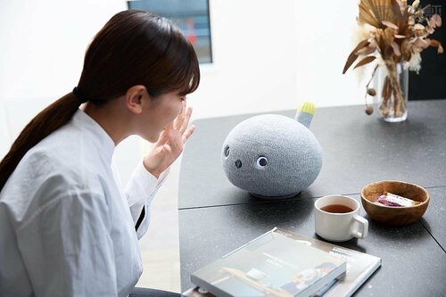話し声はたどたどしく聞き取りにくい場合も ペットロボットおすすめ イメージ3