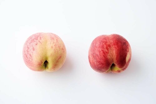 紀北から旬を迎えた品種を約2㎏直送 ふるさと納税おすすめ イメージ2