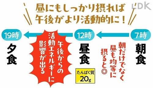 “たんぱく昼食”のポイントは？ イメージ