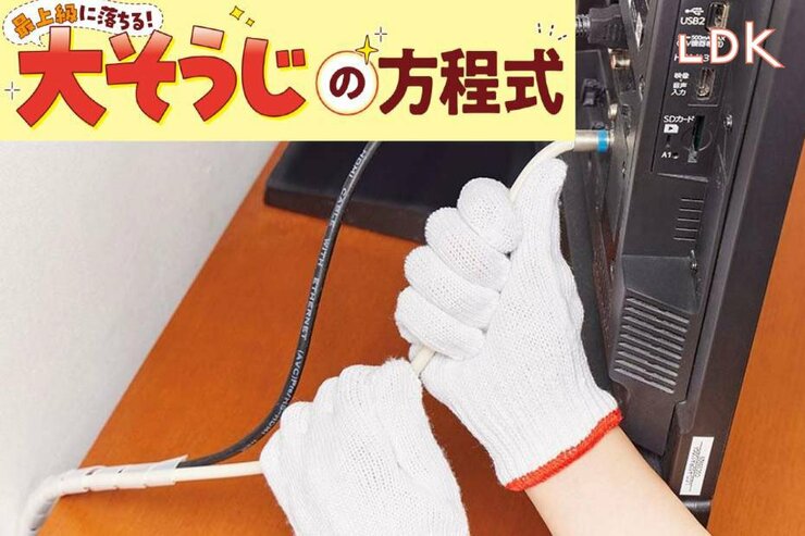 テレビの後ろ見て！ 白けたホコリと指紋は洗剤＋軍手でピカピカにしよ【LDK大掃除】