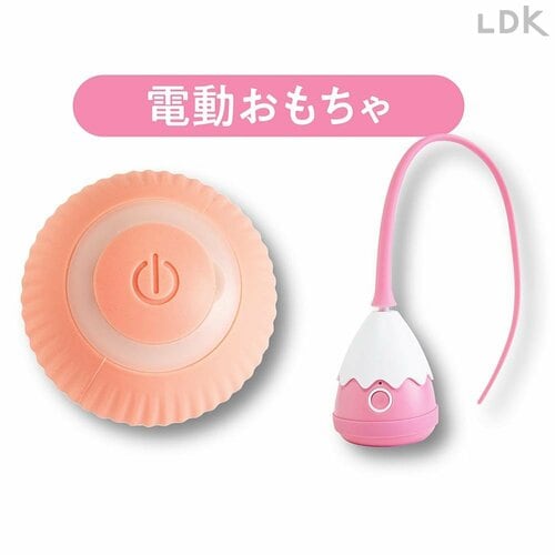 電動おもちゃ 猫用おもちゃおすすめ イメージ