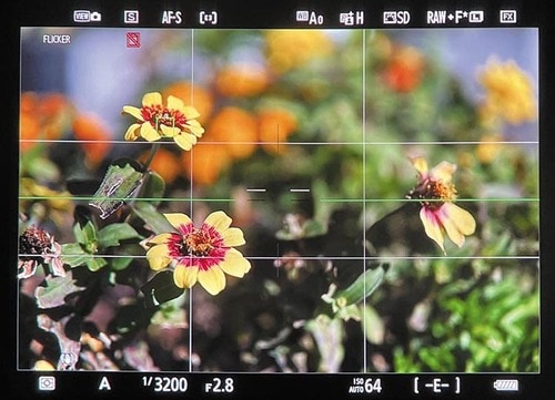 ニコン「Z9」の検証結果 イメージ