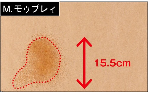 【噴射範囲】ワーストとの直径差は2.5倍以上もありました 防水スプレーおすすめ イメージ2