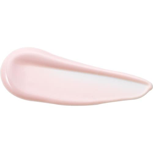  アネッサ デイセラム N イメージ2