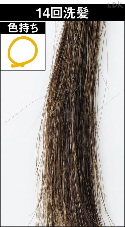 14回洗髪 白髪染めヘアカラーおすすめ イメージ