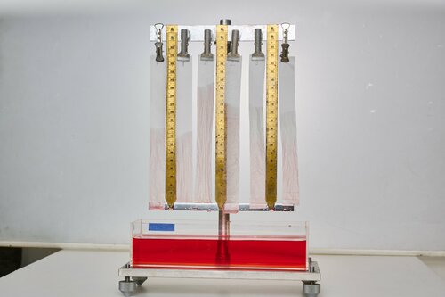 箱なしティッシュの吸水性のテストの様子