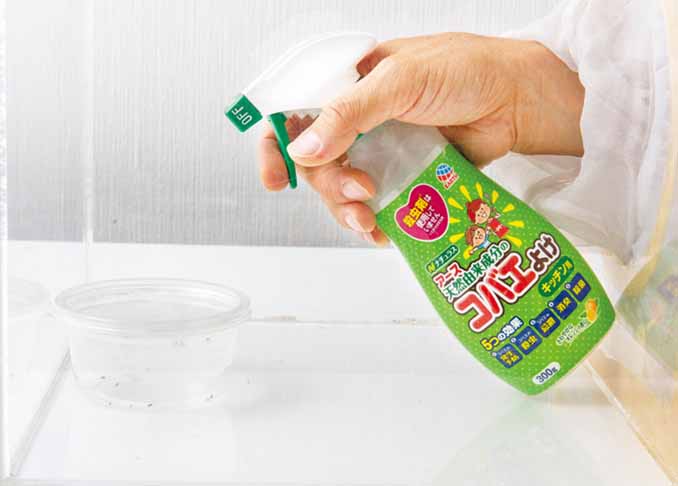 やだ コバエが湧いてる ワンプッシュで壊滅できるってご存知ですか 360life サンロクマル