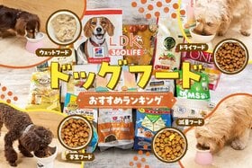ドッグフードのおすすめランキング。LDKがペット栄養管理士と成犬用の人気商品を比較
