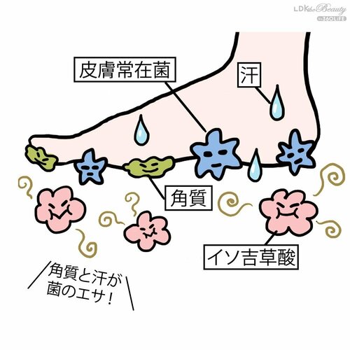 菌の繁殖と汗のせい 足の臭い対策クリームおすすめ イメージ