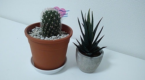 カメラ:難あり ガラホおすすめ イメージ