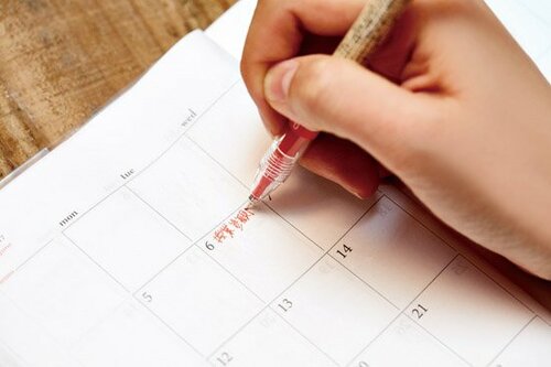 スケジュール帳に書きやすい絶妙な細さ!