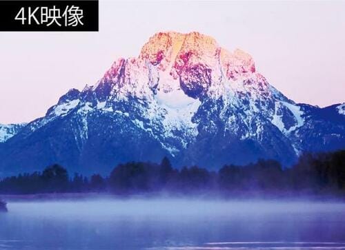 LG型落ちモデル「55BXPJA」