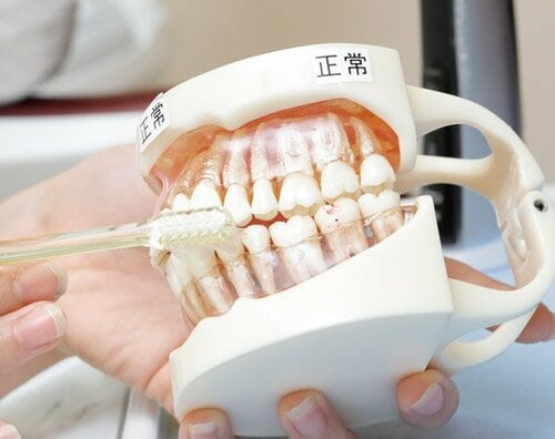 電動歯ブラシを有効に使うためには当てる場所と適切な力を意識しましょう