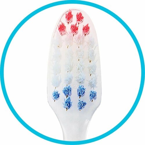 歯ブラシおすすめ エビス プログリップ ハブラシ typeII ふつう イメージ3