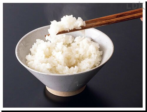 炊きたてが復活! ご飯冷凍容器おすすめ イメージ