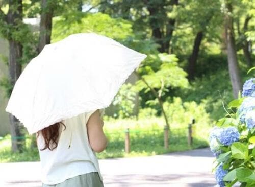 日傘のお手入れ方法は?