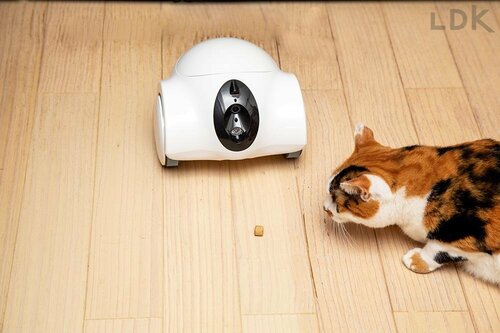 アプリでおやつもあげられる ペットカメラおすすめ イメージ