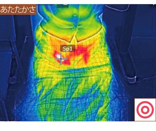 あたたかさ 電気ひざ掛けおすすめ イメージ