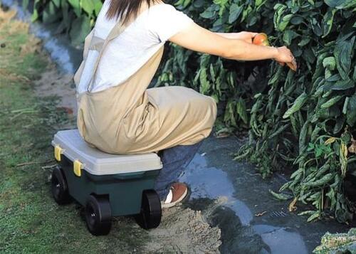 大人の休憩場所に最適！「フィールドカート」 イメージ2