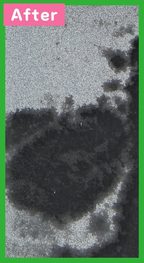 洗浄後 プチプラ洗顔料おすすめ イメージ