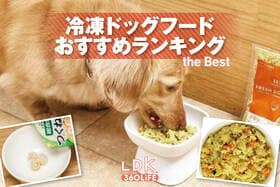 【2026年】冷凍ドッグフードのおすすめランキング。市販の人気商品をペット栄養管理士と比較