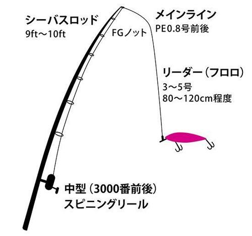 おすすめ2:シーバス釣り