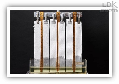 2：吸油力 ドラッグストアのキッチンペーパーおすすめ イメージ