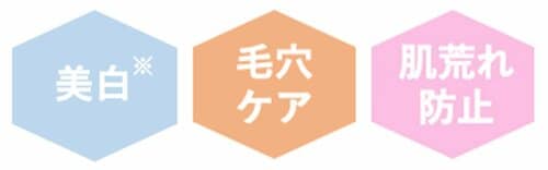 成分 Nオーガニックおすすめ イメージ