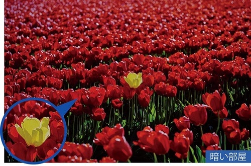 若干暗めだけど十分な輝度と高画質 4Kプロジェクターおすすめ イメージ2