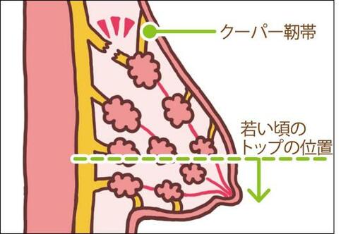 つけるだけでバストの垂れ対策!ノンワイヤーブラ5選