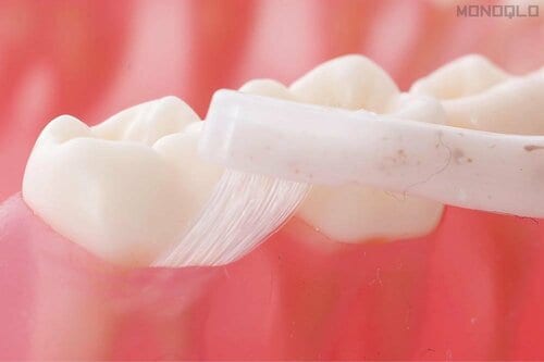 花王「ピュオーラ36500 歯周ポケットクリーナー」 極細毛歯ブラシおすすめ イメージ3