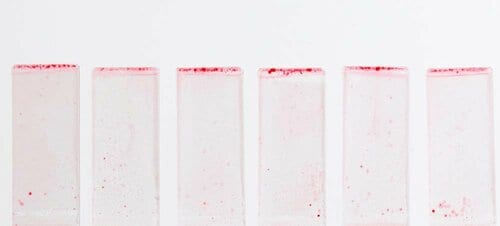 テスト結果 食器用洗剤おすすめ イメージ