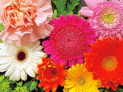 簡単にキレイな写真が撮れる MONOQLO 2025ベストバイおすすめ イメージ