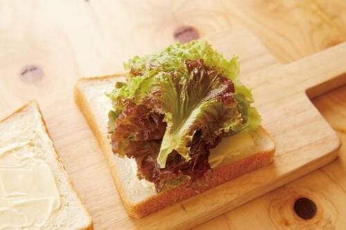 ほぐしサバとオリーブオイルとレモンのサンドイッチ イメージ5