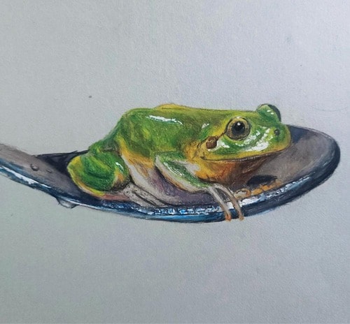 色鉛筆で描かれたイラストが人気 36色の色鉛筆おすすめ イメージ2
