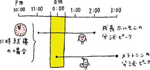理想の入眠時間は何時？ メラトニン分泌のピークを逃さない イメージ