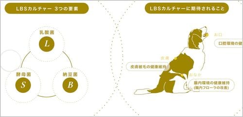 腸の健康をケアする3つの菌を配合 ドッグフードおすすめ イメージ
