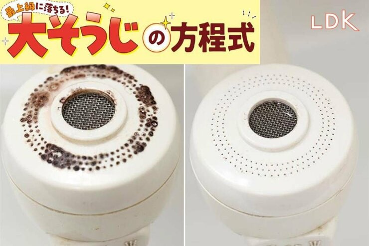 【なんとなく臭い】洗面台のシャワーヘッドも汚れてる！ 黒ずみ落としの正解は？【LDK大掃除】