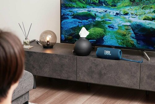 【サウンドバーかと錯覚】 高評価BluetoothスピーカーをTVで使ったら音質がエグかった件｜楽天スーパーSALE